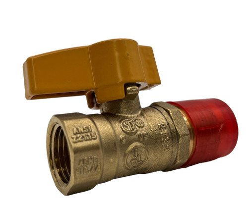 Gas Valve, 1/2" FIP