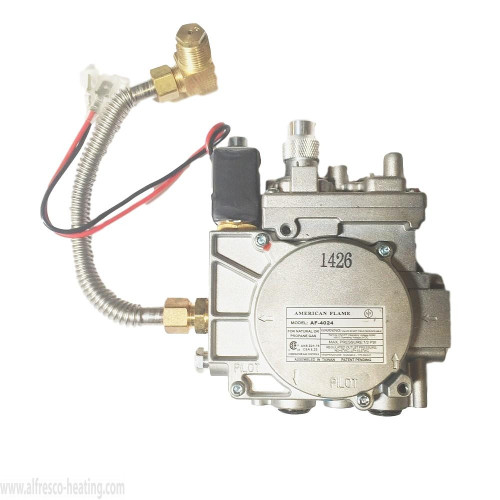 Combination Valve, SunPak, 12017