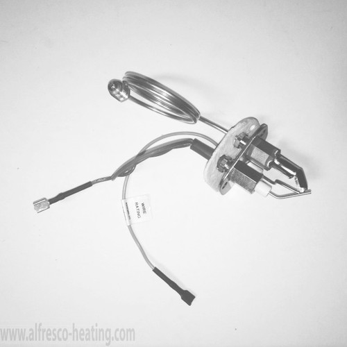 Pilot Electrode Assembly, SunPak, 22030